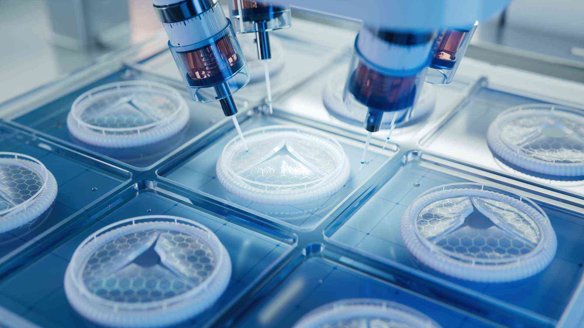 Welcome to the Food Bio-Polymer & Bio-Active Lab